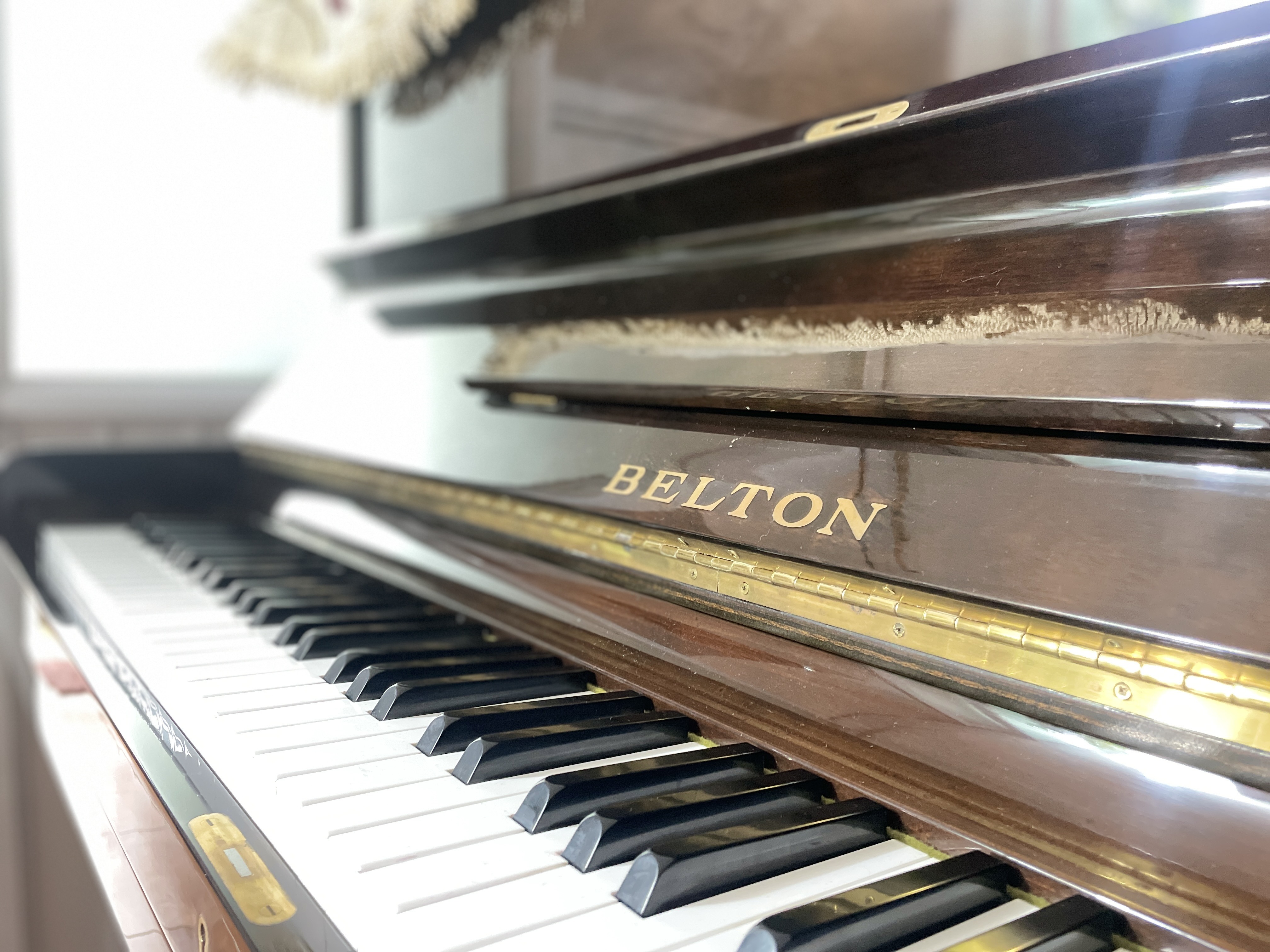 Belton FU50