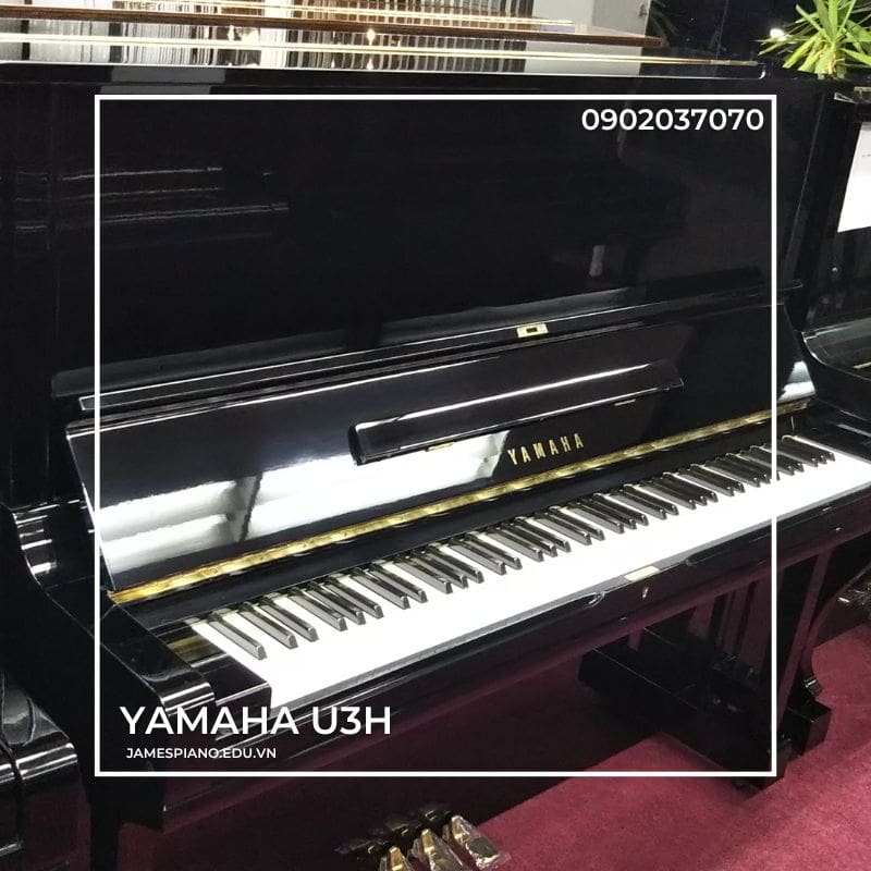 JamesPiano-YamahaU3H_2