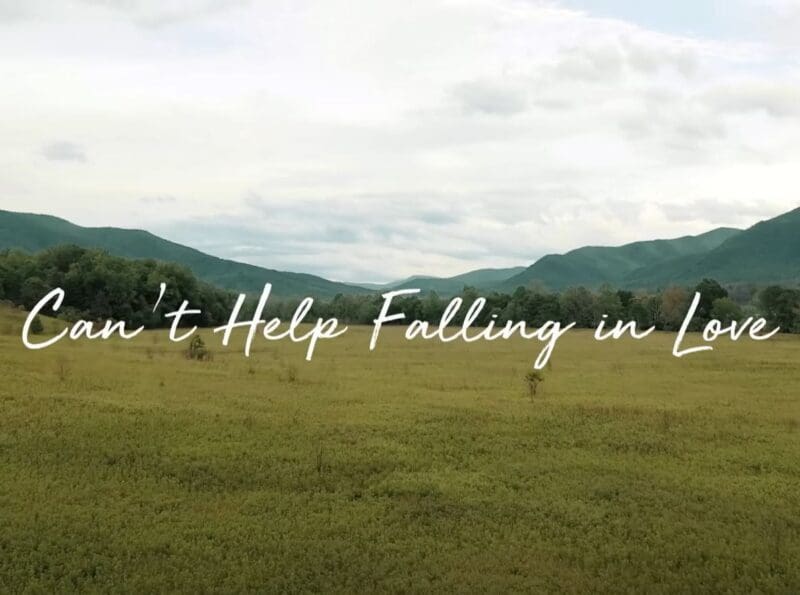 Jamespiano.edu.vn_Can't Help Falling In Love