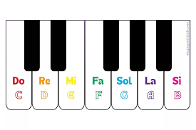 Nhạc Lý Piano Dành Cho Người Mới